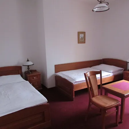 Hotel Pegas Brno