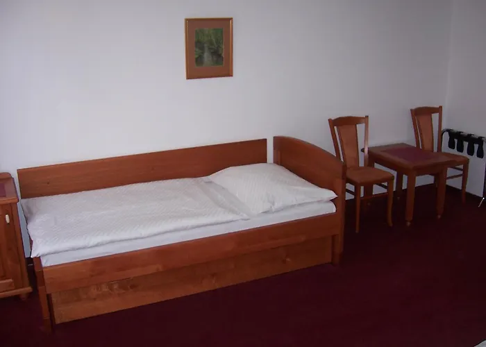 Hotel Pegas Brno